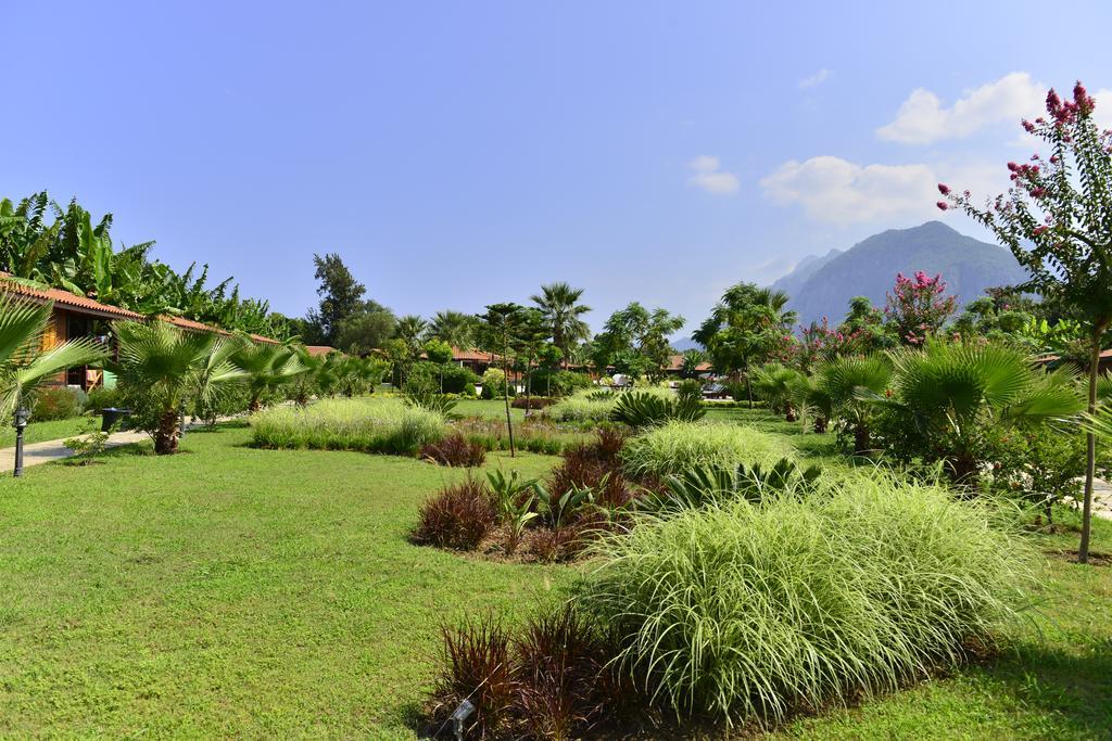 Cirali Hotel Odile ภายนอก รูปภาพ